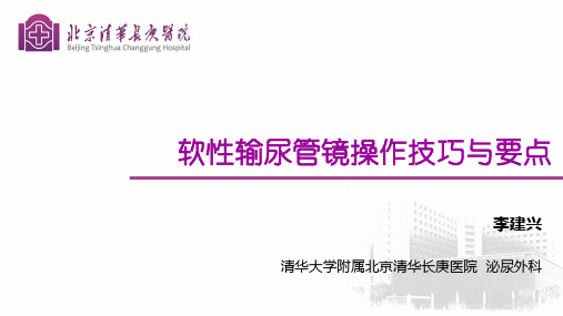 软镜操作技巧—李建兴 