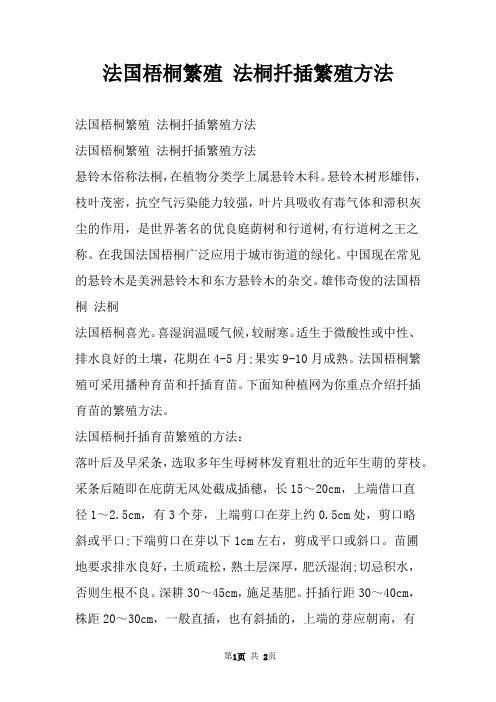法国梧桐繁殖 法桐扦插繁殖方法