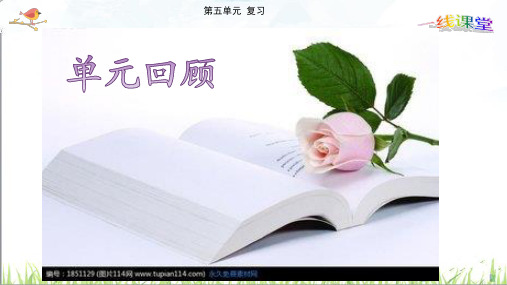 部编版二年级语文下册第五单元复习课件