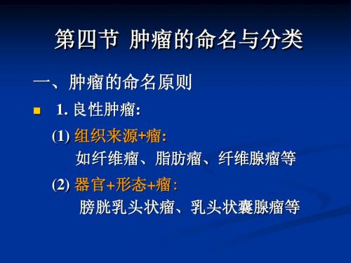 肿瘤2