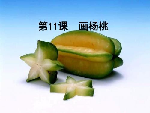 2018年人教版三年级语文下册课件：11 画杨桃