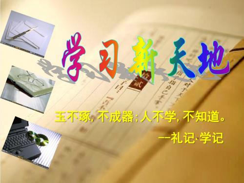 《学习新天地》把握学习新节奏PPT课件3