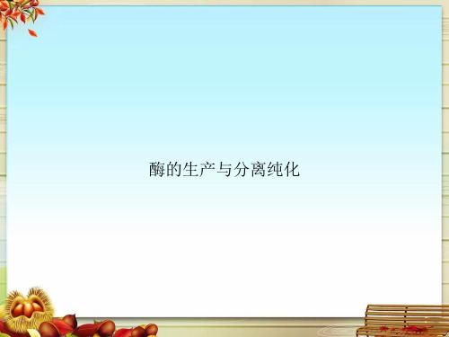 酶的生产与分离纯化
