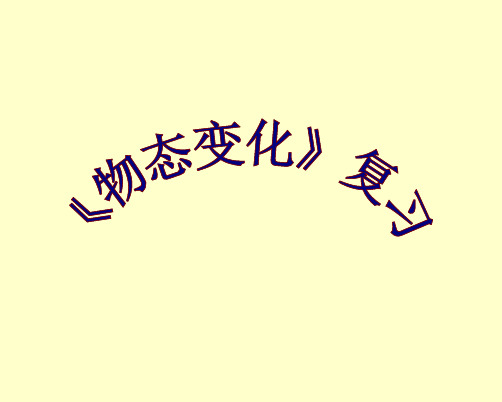 苏科版九年级物理学习共同体中考总复习专题第2章物态变化40张ppt