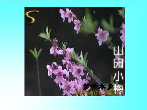 《山园小梅》课件1