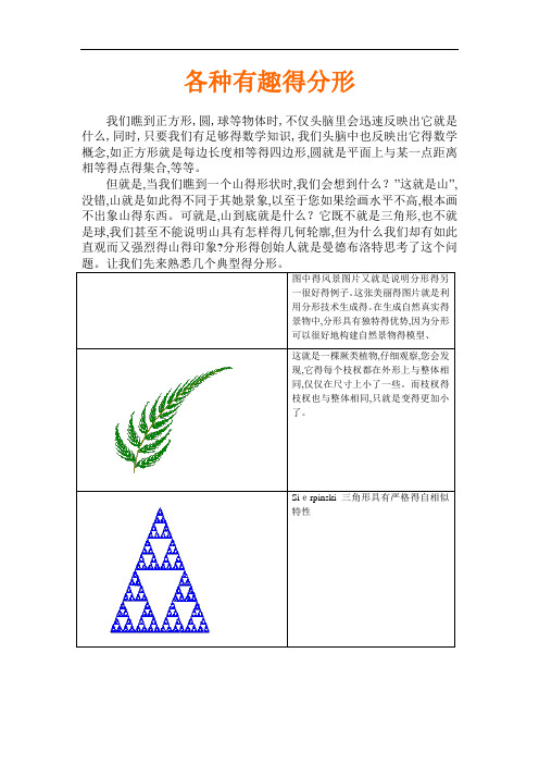 各种有趣的分形