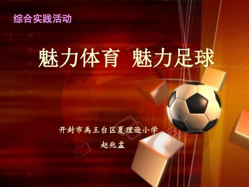 《魅力体育魅力足球》说课课件