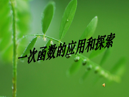 一次函数的应用及探索PPT课件
