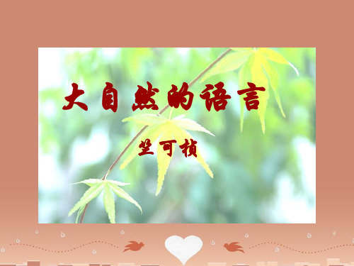 八年级语文上册 大自然的语言课件 人教新课标版