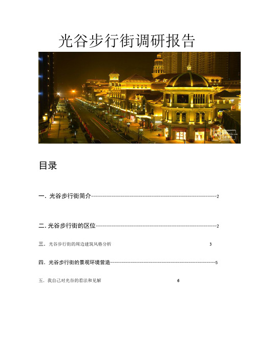 光谷步行街调研报告