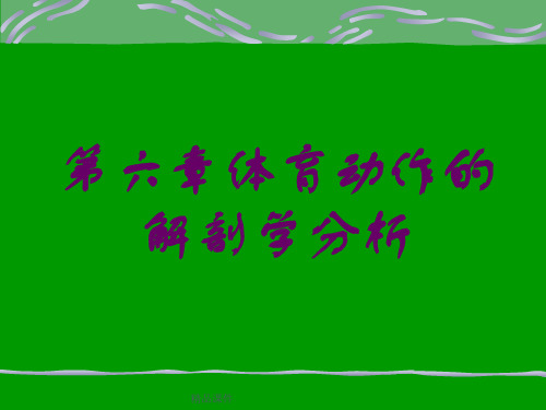 体育动作的解剖学分析最新版