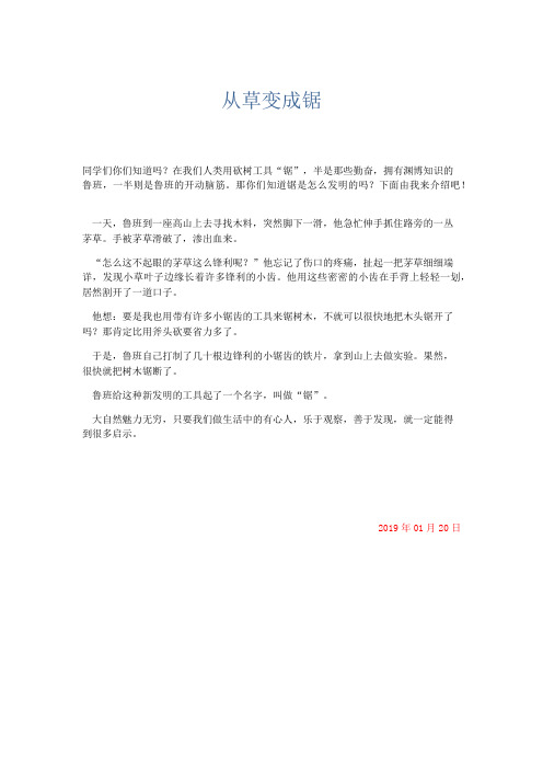 小学议论文 从草变成锯-精品