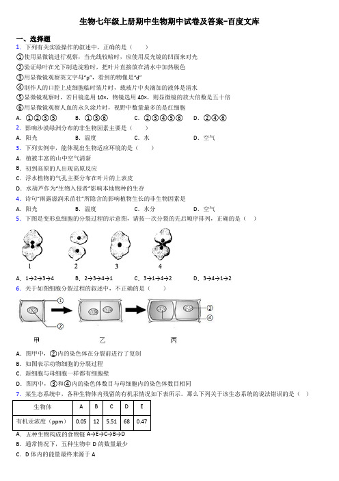生物七年级上册期中生物期中试卷及答案-百度文库