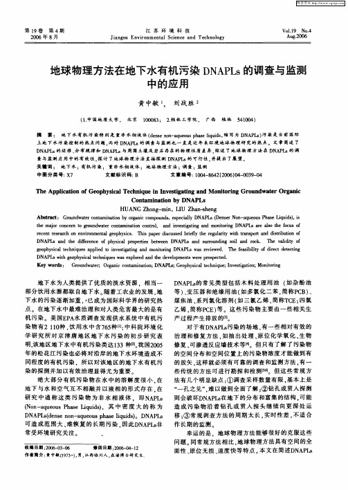 地球物理方法在地下水有机污染DNAPLs的调查与监测中的应用
