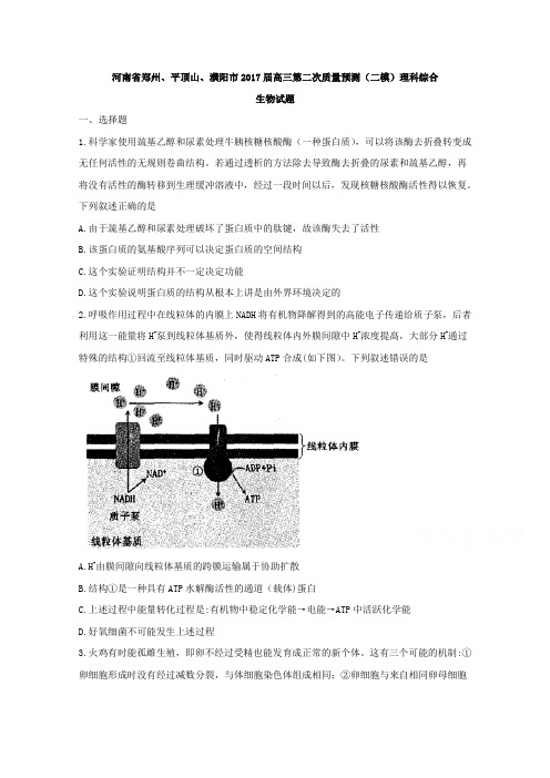 河南省郑州、平顶山、濮阳市2017届高三第二次质量预测(二模)理科综合生物试题