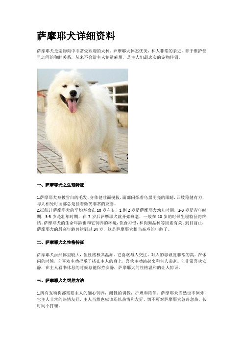 萨摩耶犬详细资料