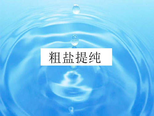 沪科版化学高一上册-2.1 粗盐提纯 课件    