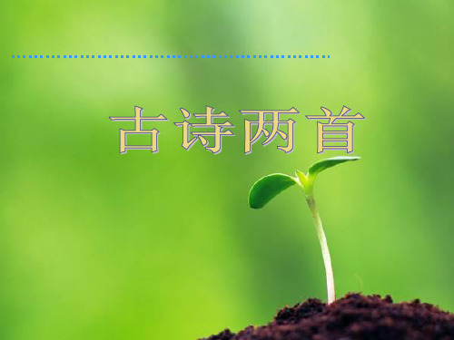 二年级下册语文古诗两首(草-宿新市徐公店)ppt课件