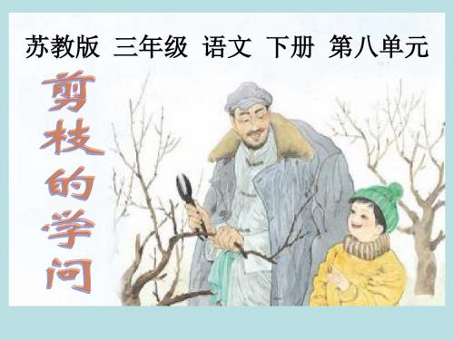 苏教版三年级下册语文《剪枝的学问》课件PPT