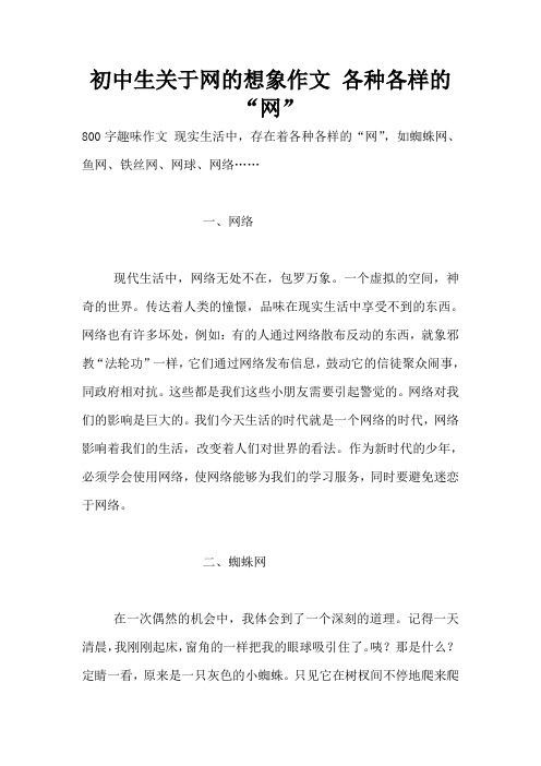 初中生关于网的想象作文 各种各样的“网”