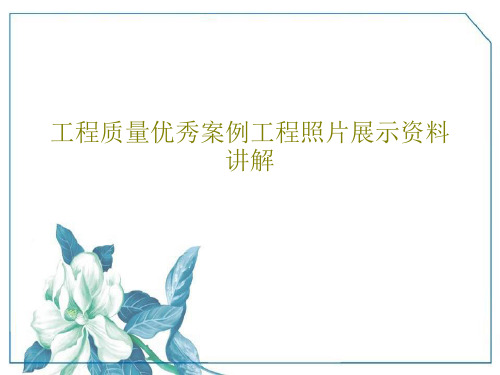 工程质量优秀案例工程照片展示资料讲解113页PPT