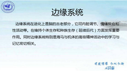 边缘系统(limbic system)构成及功能