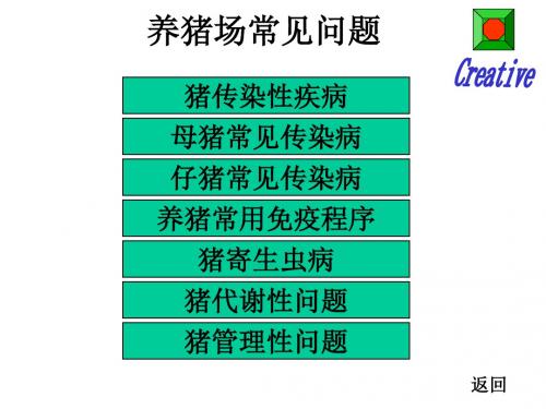 养猪场常见疾病(精点幻灯片)