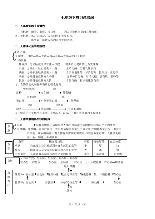 七年级下册复习提纲(精)