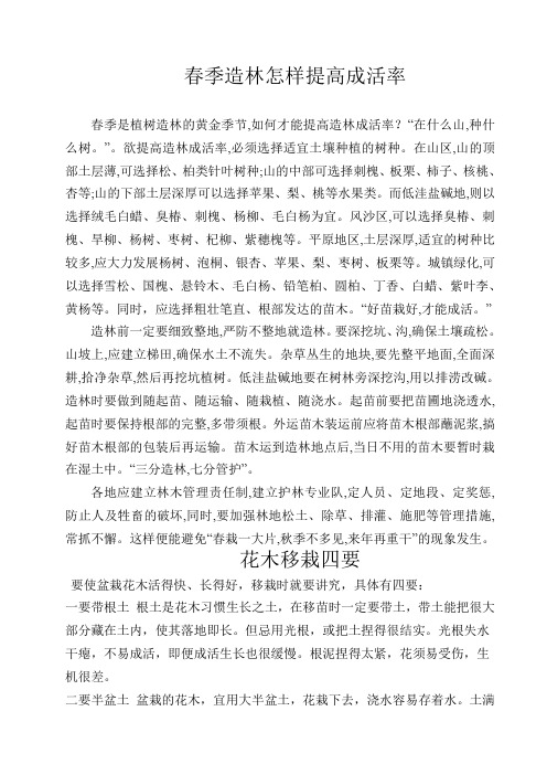 女贞的栽培与修剪