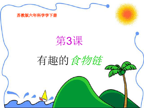 有趣的食物链课件
