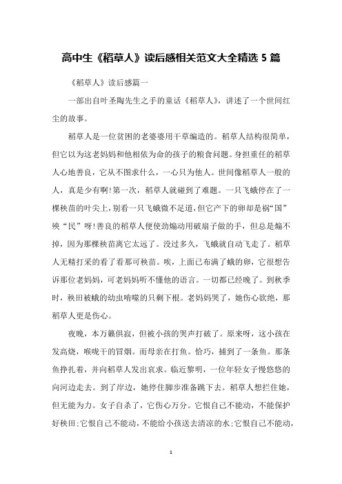 高中生《稻草人》读后感相关范文大全精选5篇