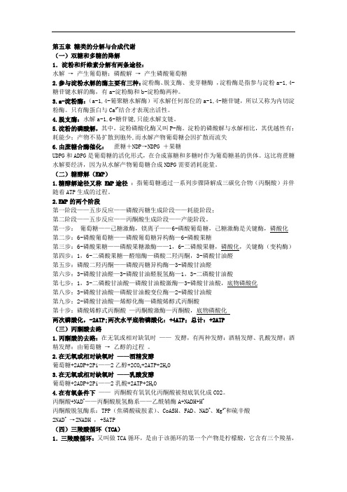 生物化学：第五章 当的分解与合成代谢