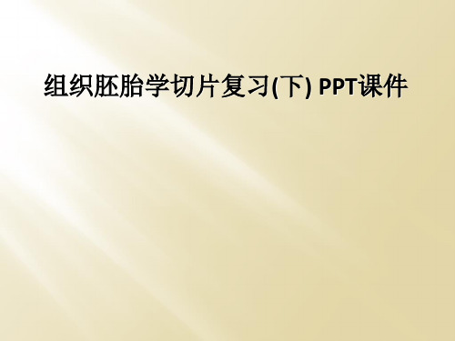 组织胚胎学切片复习(下) PPT课件