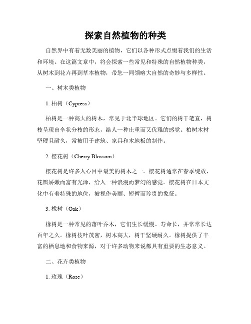探索自然植物的种类
