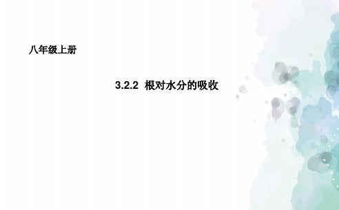 冀少版生物-八年级上册 3.2.2根对水分的吸收课件