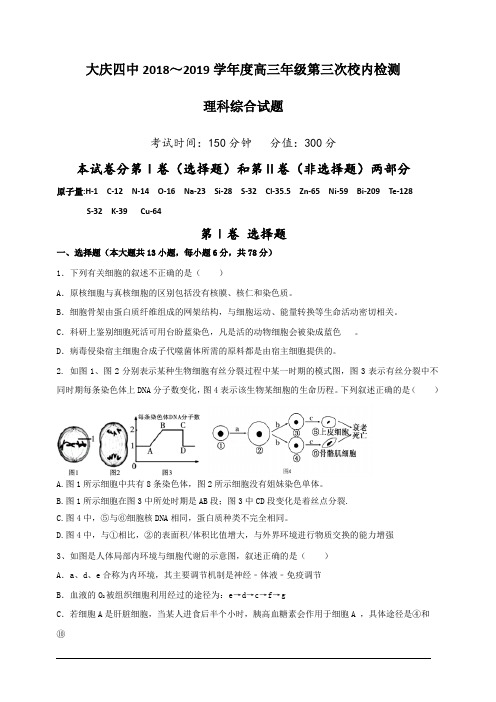黑龙江省大庆市第四中学2019届高三下学期第三次月考理科综合试题含答案
