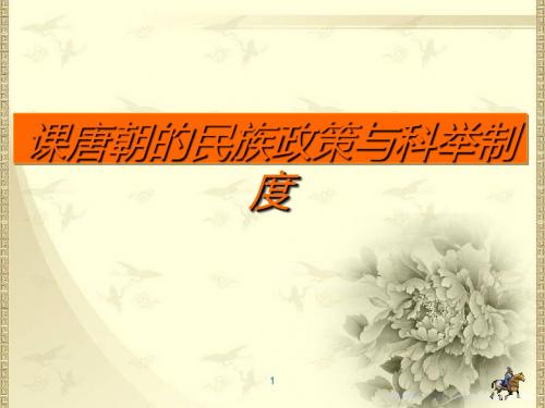 唐朝的民族政策与科举制度PPT课件 中华书局版