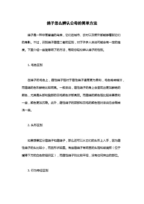 鸽子怎么辨认公母的简单方法
