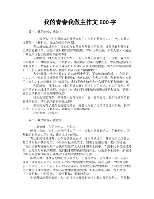 我的青春我做主作文500字