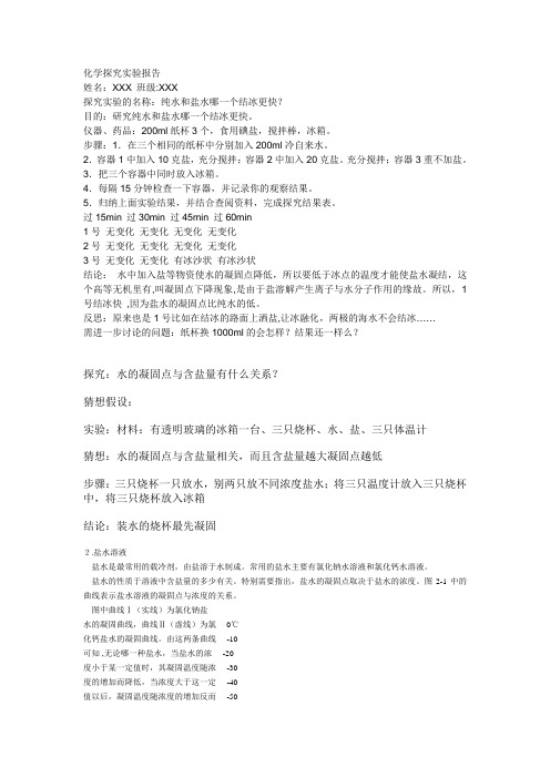 化学探究实验报告