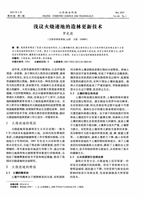 浅议火烧迹地的造林更新技术
