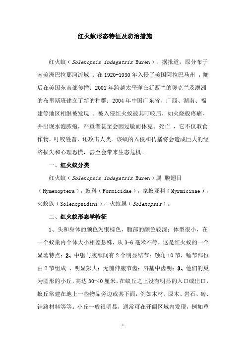 红火蚁形态特征及防治措施