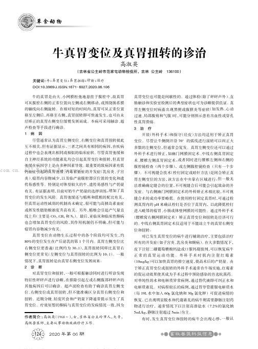 牛真胃变位及真胃扭转的诊治