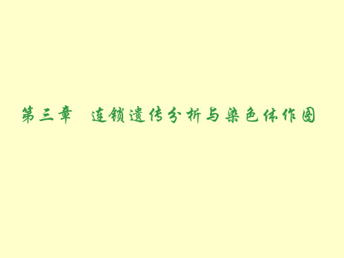 第六章-性染色体与性别决定【可编辑的PPT文档】
