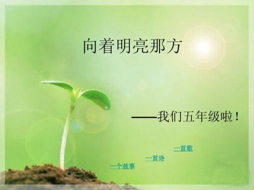 向着明亮那方