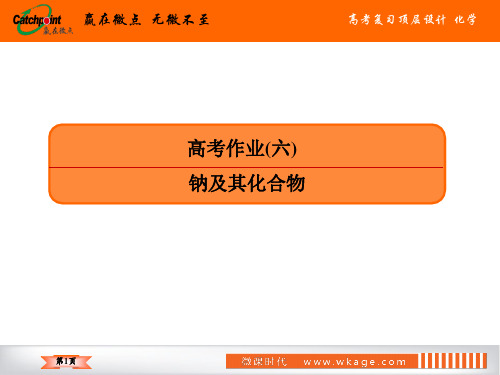 高2019届高2016级2019年5月赢在微点顶层设计高中化学总复习全套课件高考作业6