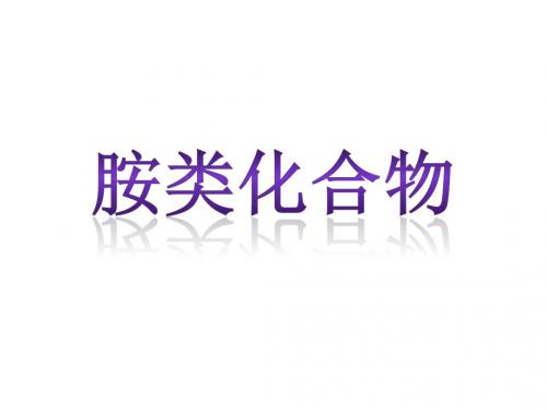胺类化合物第一组-精选文档43页