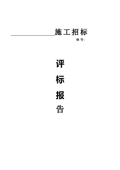 招标评标报告范本