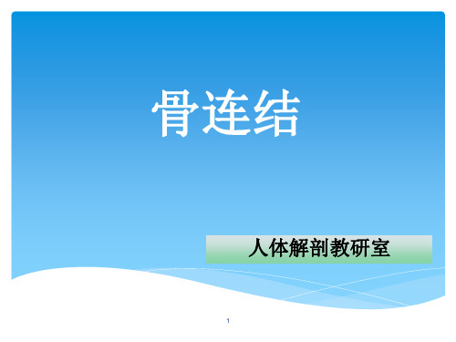 骨连结PPT课件