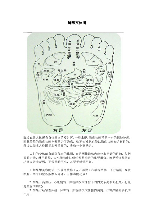 脚部穴位图